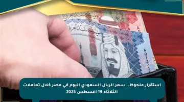 استقرار ملحوظ.. سعر الريال السعودي اليوم في مصر خلال تعاملات الثلاثاء 19 أغسطس 2025